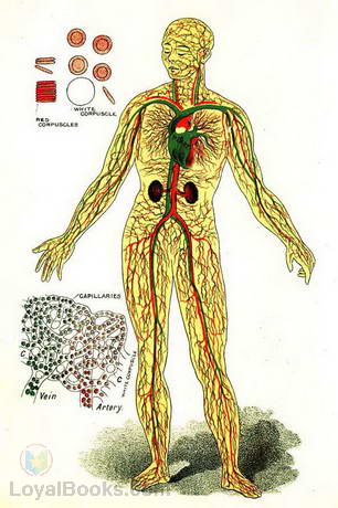 Physiology and Hygiene by Francis M. Walters