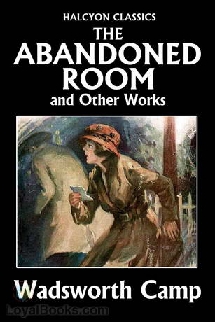 The Abandoned Room by Wadsworth Camp