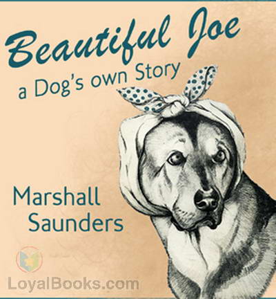 Beautiful Joe by Marshall Saunders