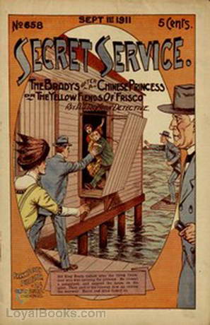 The Bradys After a Chinese Princess The Yellow Fiends of 'Frisco by Francis Worcester Doughty