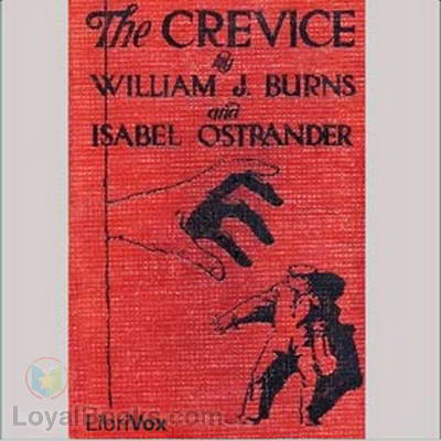 The Crevice by William J. Burns