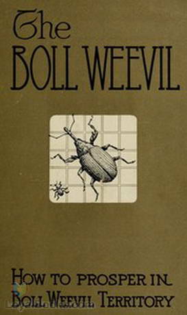 How to Prosper in Boll Weevil Territory by George Howard Alford