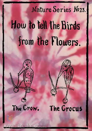 How to Tell the Birds from the Flowers by Robert Williams Wood