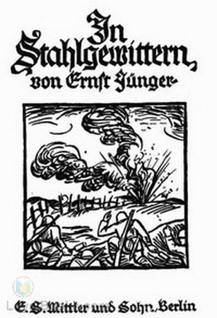 In Stahlgewittern Aus dem Tagebuch eines Stoßtruppführers by Ernst Jünger
