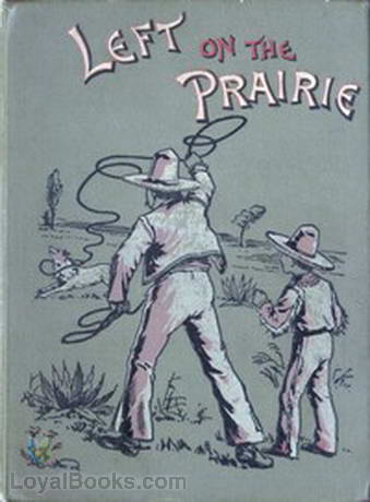 Left on the Prairie by M. B. Cox
