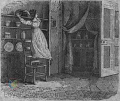The Little Girl Who Was Taught by Experience by Anonymous