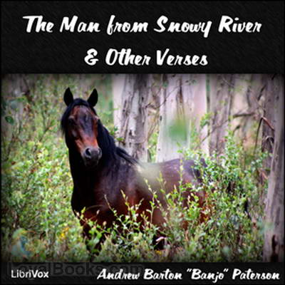 The Man from Snowy River and other Verses by Andrew B. Paterson