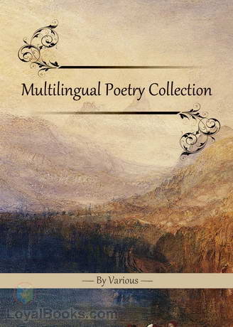 Multilingual Poetry Collection by Various