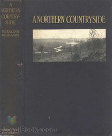 A Northern Countryside by Rosalind Richards