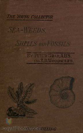 Sea-Weeds, Shells and Fossils by Peter Gray