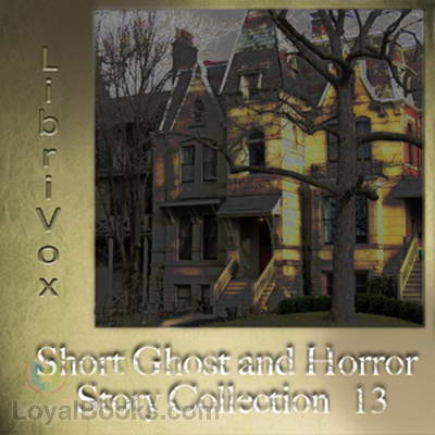 Short Ghost and Horror Story Collection 13 by Various