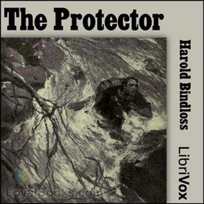 The Protector by Harold Bindloss
