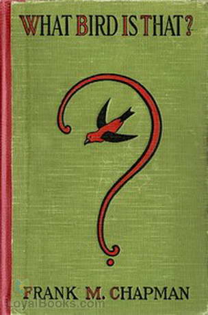 What Bird is That? A Pocket Museum of the Land Birds of the Eastern United States Arranged According to Season by Frank M. Chapman