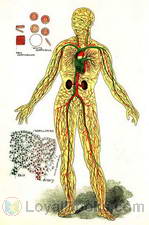 Physiology and Hygiene by Francis M. Walters