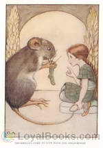 Childhood's Favorites and Fairy Stories by Various
