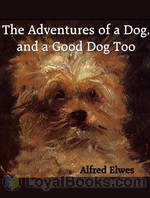The Adventures of a Dog, and a Good Dog Too by Alfred Elwes