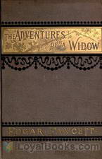 The Adventures of a Widow A Novel by Edgar Fawcett