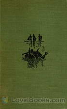 Among the Wild Tribes of the Afghan Frontier A Record of Sixteen Years' Close Intercourse with the Natives of the Indian Marches by Theodore L. Pennell