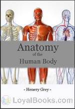 Anatomy of the Human Body by Henry Gray