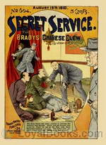 The Bradys' Chinese Clew The Secret Dens of Pell Street by Francis Worcester Doughty