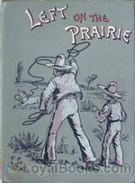 Left on the Prairie by M. B. Cox