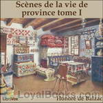 Scènes de la vie de province tome I by Honoré de Balzac