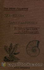 Sea-Weeds, Shells and Fossils by Peter Gray