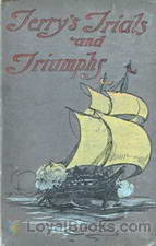 Terry's Trials and Triumphs by James M. Oxley