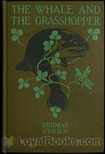 The Whale and the Grasshopper And other Fables by Seumas O'Brien