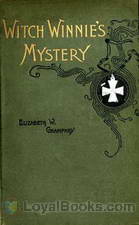 Witch Winnie's Mystery, or The Old Oak Cabinet The Story of a King's Daughter by Elizabeth W. Champney