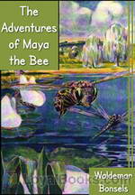 The Adventures of Maya the Bee by Waldemar Bonsels