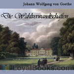 Die Wahlverwandtschaften by Johann Wolfgang von Goethe