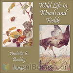 Wild Life in Woods and Fields by Arabella B. Buckley